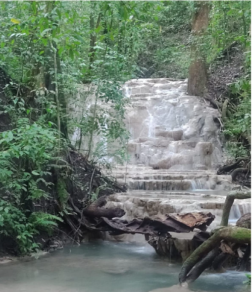 Finca Cabuya