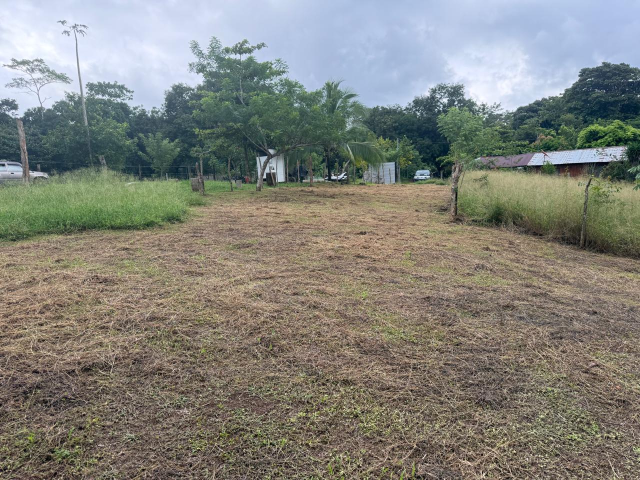 Lote Los Mangos