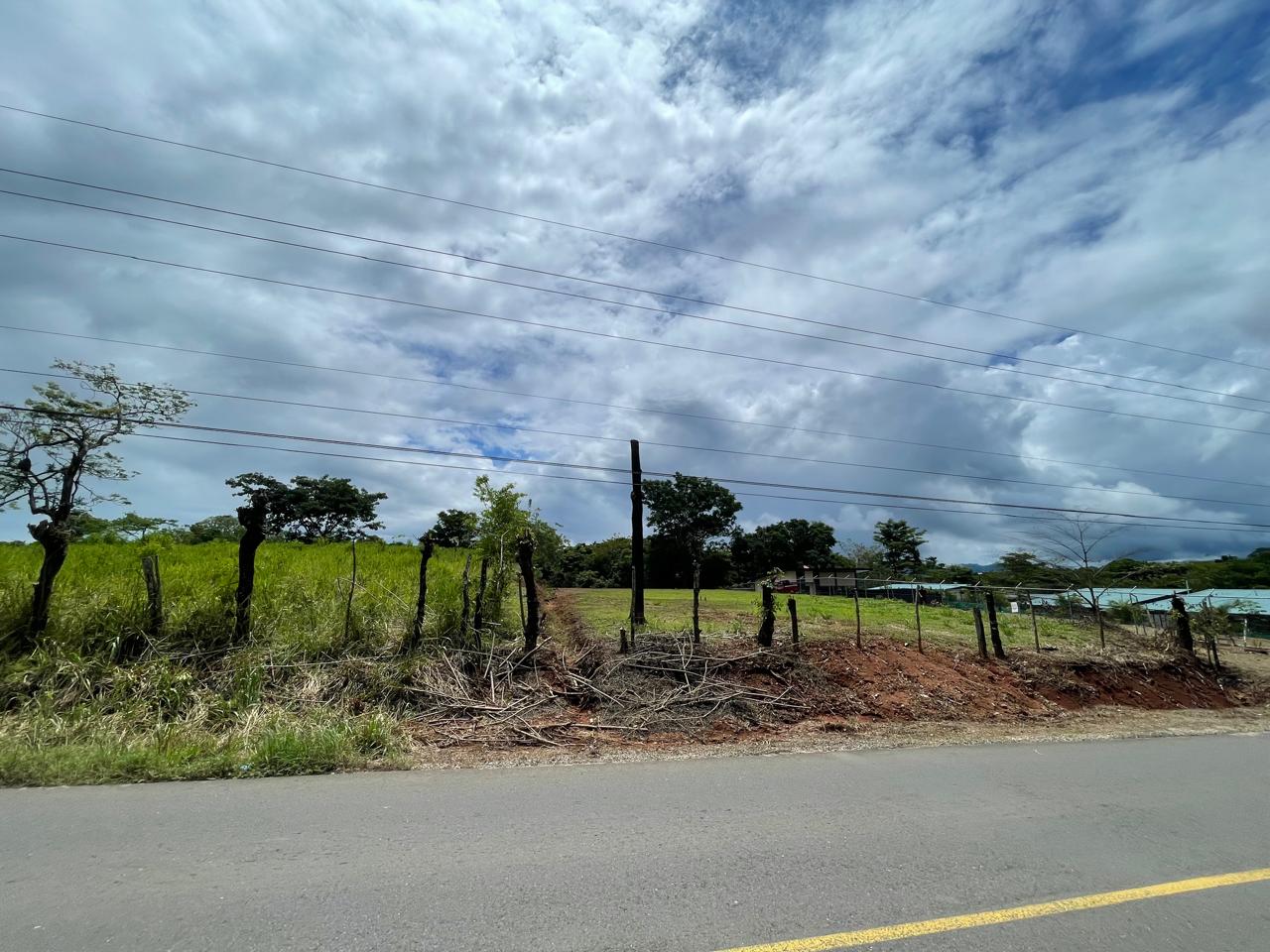 Lote San Isidro Santa Teresa