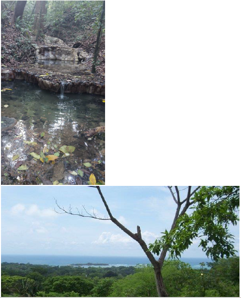 Finca Cabuya