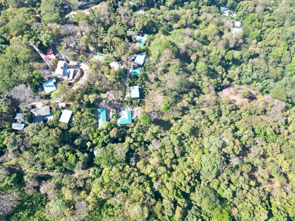 Las Brisas de los milagros