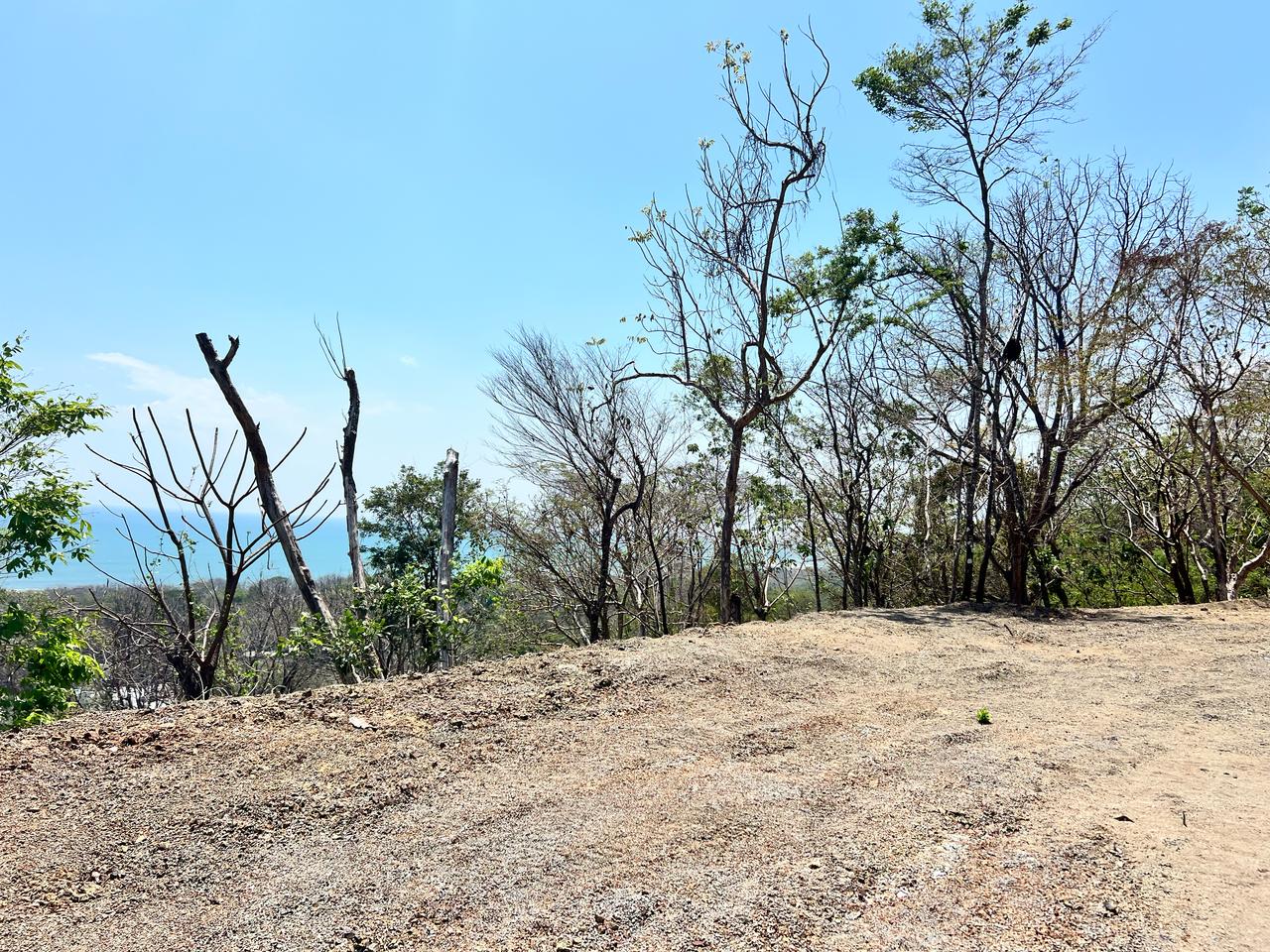 Lote Santa Tereza