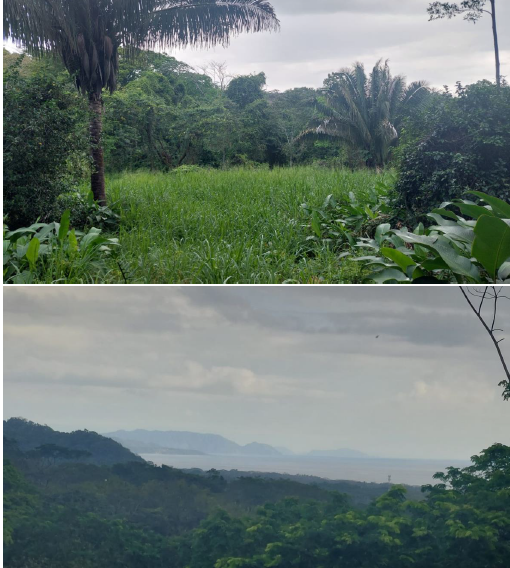 Finca Cabuya