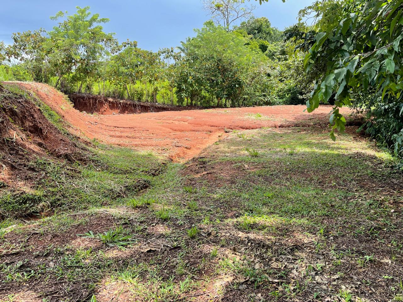 Lote San Isidro Santa Teresa