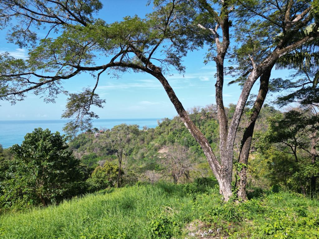 Las Brisas de los milagros