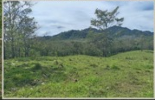 La Esperanza