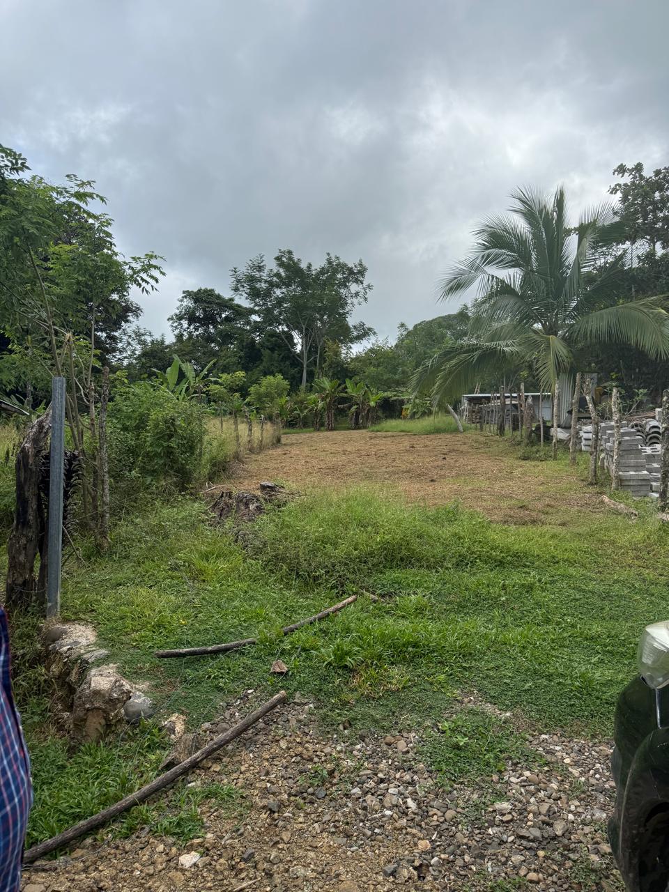 Lote Los Mangos