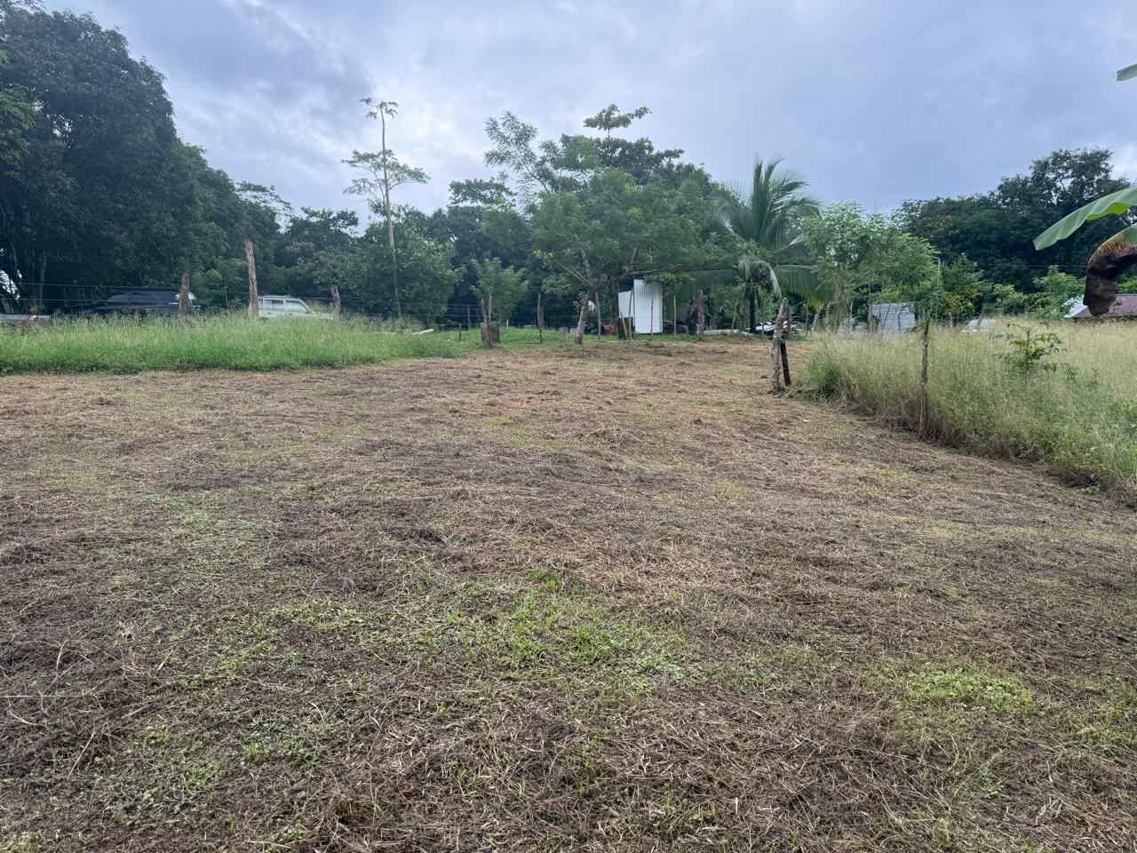 Lote Los Mangos