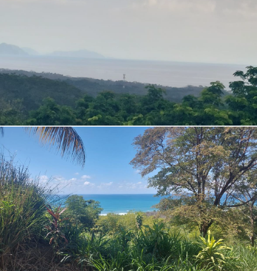 Finca Cabuya