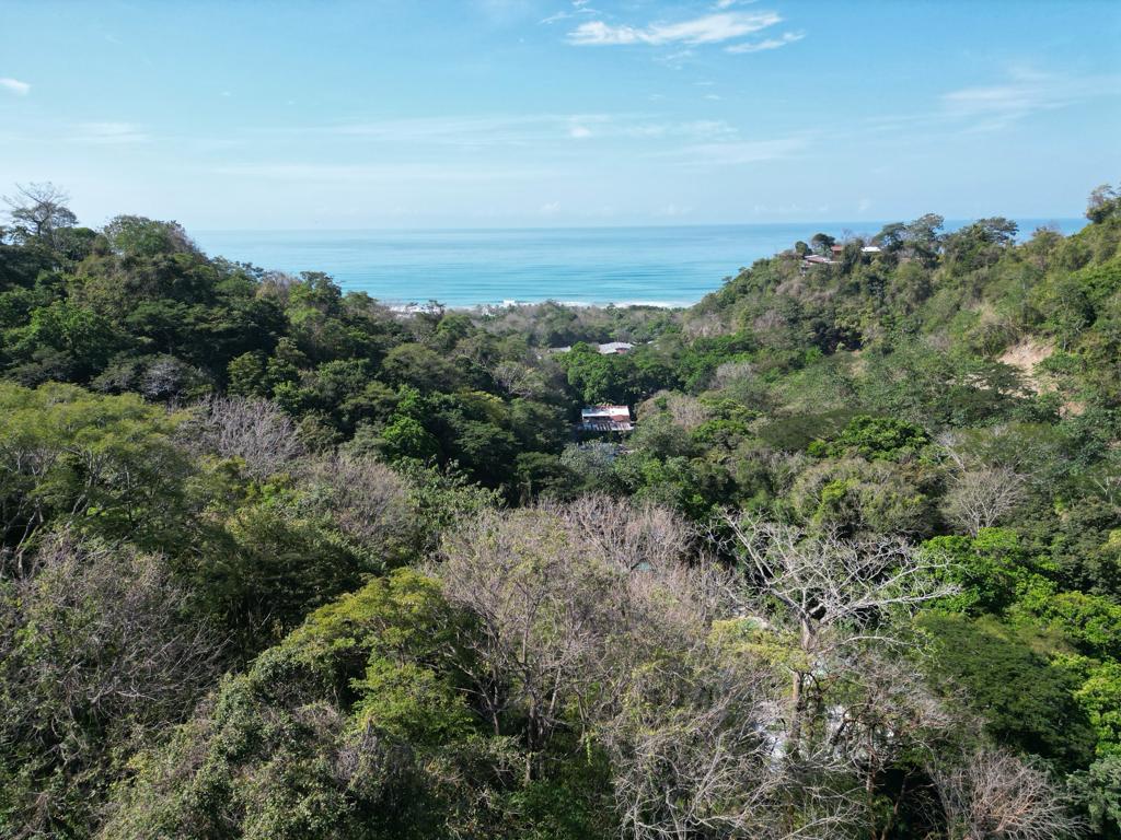 Las Brisas de los milagros