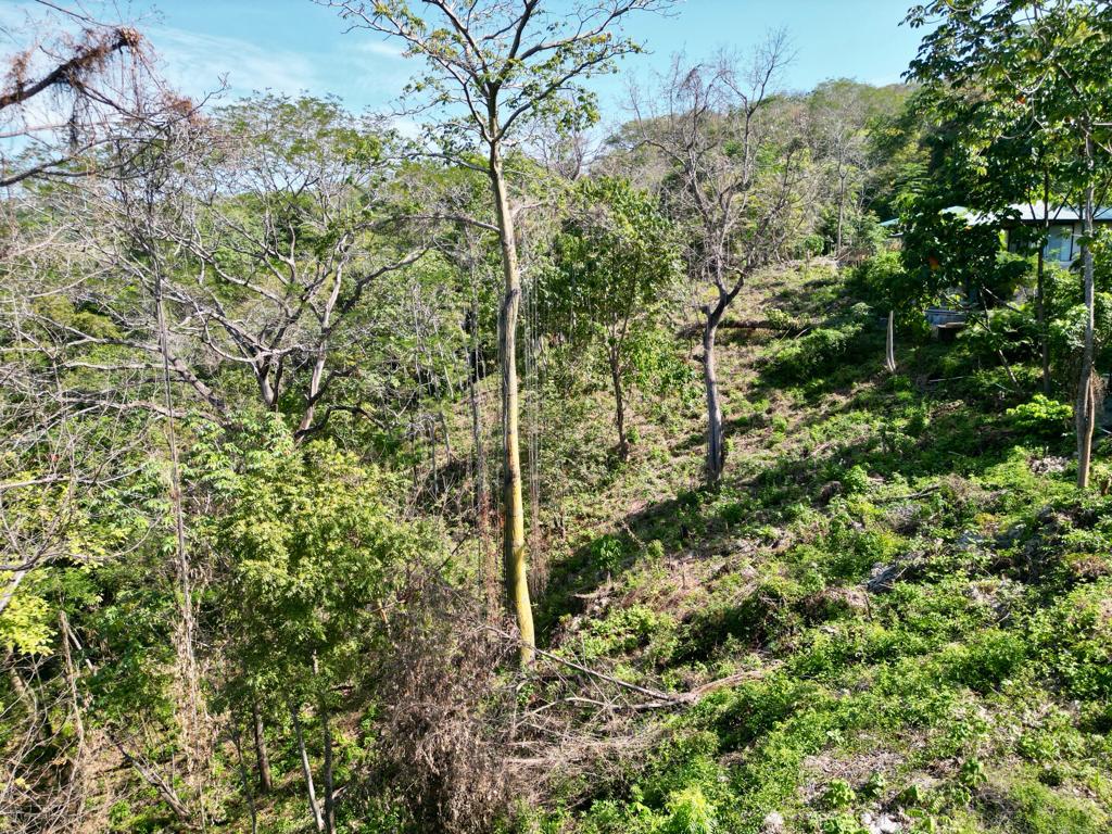 Las Brisas de los milagros