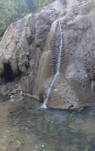 Finca Cabuya