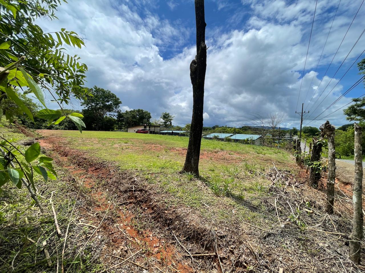 Lote San Isidro Santa Teresa