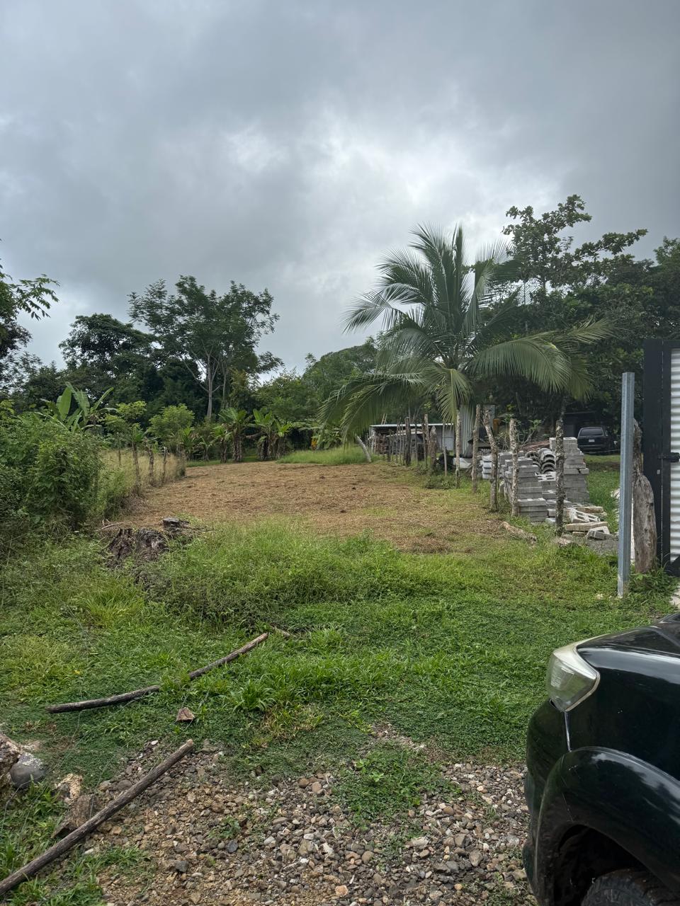 Lote Los Mangos