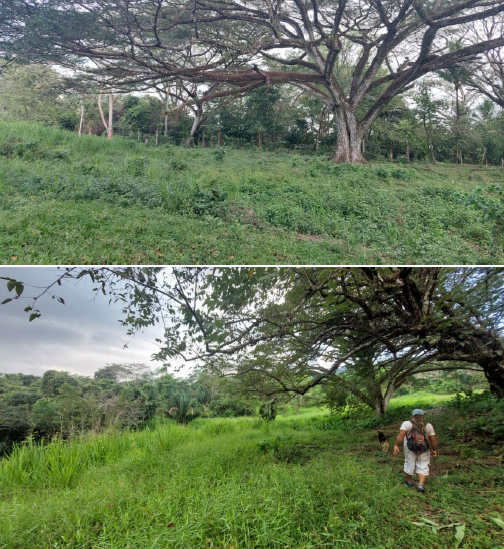 Finca Cabuya