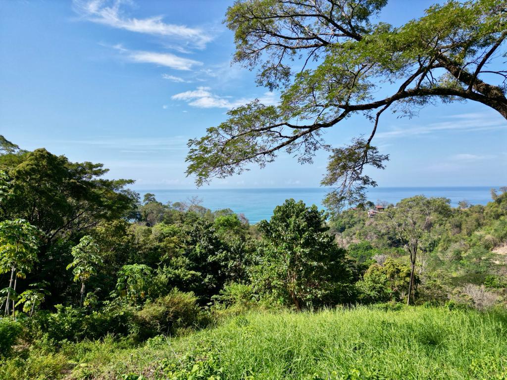 Las Brisas de los milagros